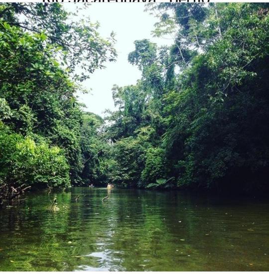 Suites Proximo Ao Rio Jaguareguava Em Bertioga Esterno foto