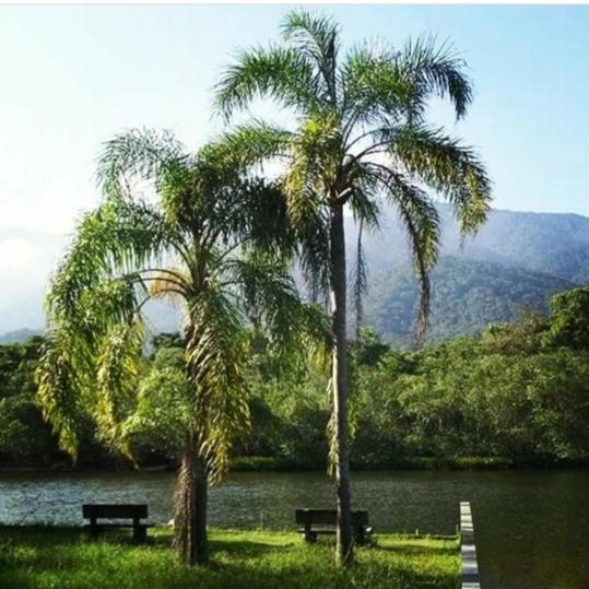Suites Proximo Ao Rio Jaguareguava Em Bertioga Esterno foto
